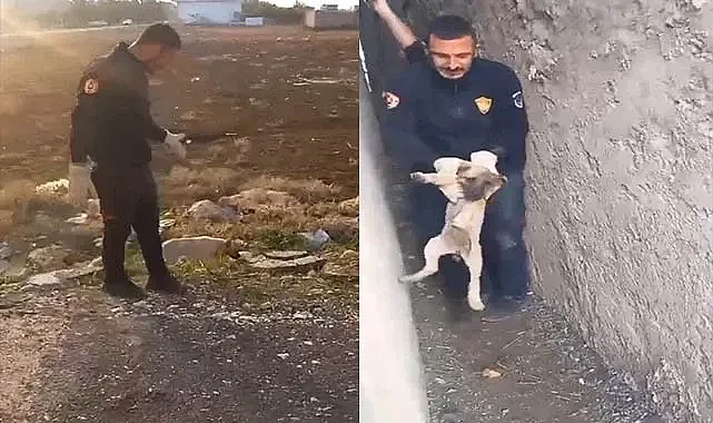 Boncuğun yardımına itfaiye ekipleri yetişti