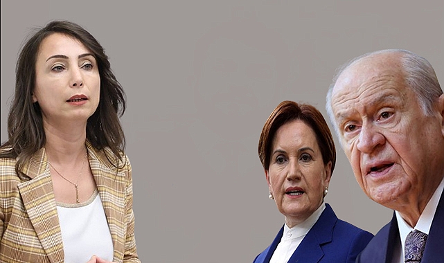 Hatimoğullar'ından Bahçeli ve Akşener'e yanıt: "Bizi Meclis'e leylekler getirmedi, halk taşıdı"