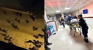 Husumetli aileler birbirine girdi: 7 yaralı