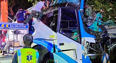 İki katlı otobüs ağaca çarptı: 14 ölü, 35 yaralı