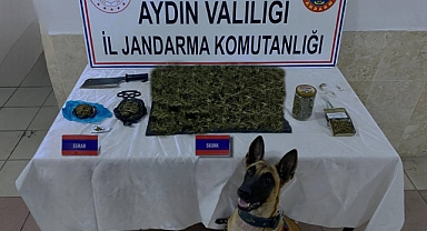 Jandarmadan uyuşturucu operasyonu: 65 gözaltı