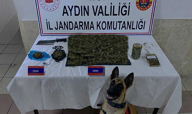 Jandarmadan uyuşturucu operasyonu: 65 gözaltı