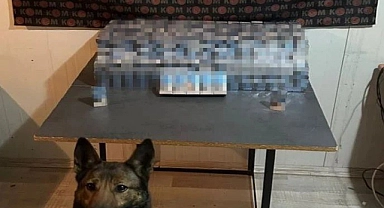 Kaçak sigara operasyonu: 1 gözaltı