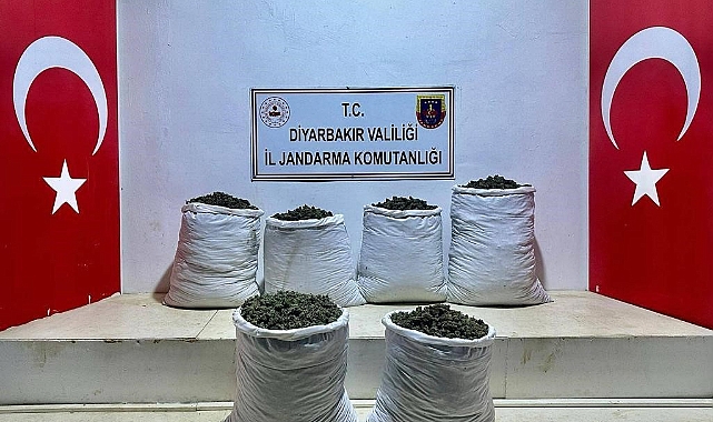 Lice’de 3 ayrı noktada 79 kilo esrar ele geçirildi