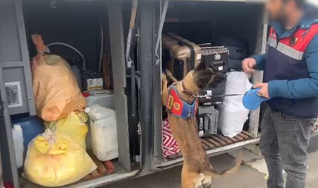 Şanlıurfa'nın ilçelerinde şok uygulaması! 3 gözaltı