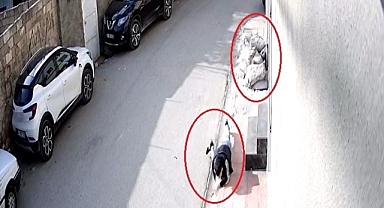 Cep telefonu kapkaççılığı güvenlik kamerasında