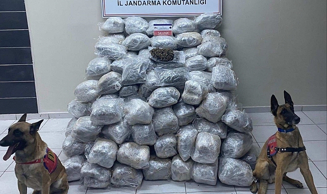 Dorse tabanında uyuşturucu taşıyan şüpheli tutuklandı