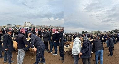 Emniyetten hayvan pazarına denetim!