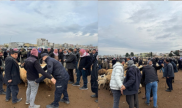 Emniyetten hayvan pazarına denetim!