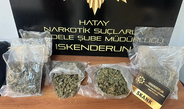 Hatay’da kilolarca skank ele geçirildi