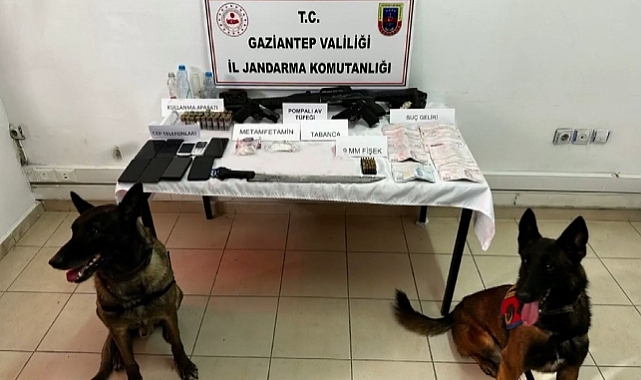 Jandarmadan Çobanlar Çetesi operasyonu: 6 gözaltı