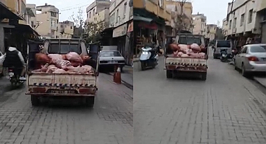 Şanlıurfa'da hijyen kurallarına aykırı şekilde sakatat taşınan kamyonet kameralara yansıdı