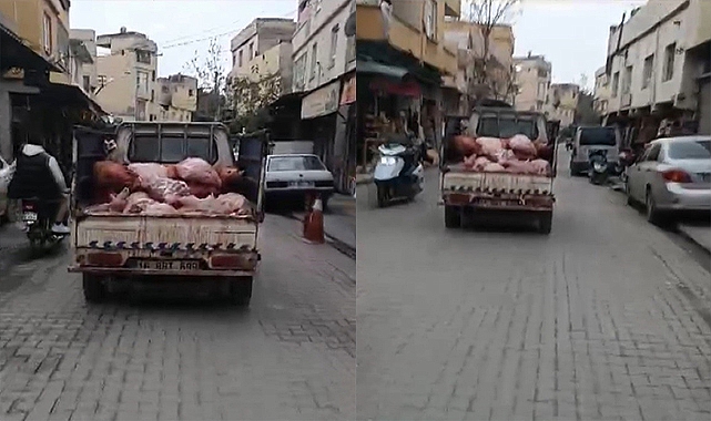 Şanlıurfa'da hijyen kurallarına aykırı şekilde sakatat taşınan kamyonet kameralara yansıdı