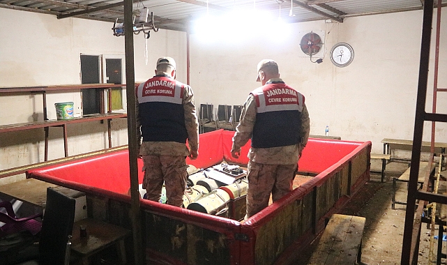 Şanlıurfa'da horoz dövüşüne jandarma baskını