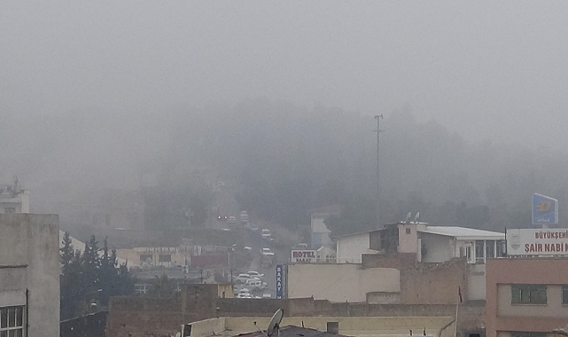 Şanlıurfa'da sis ve yağış etkili oluyor