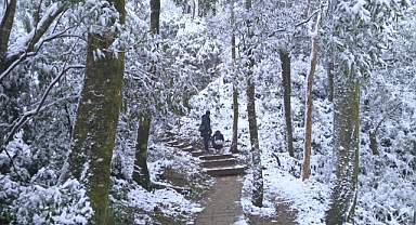 Soğuk hava dalgası: 2 günde 145 kişi öldü