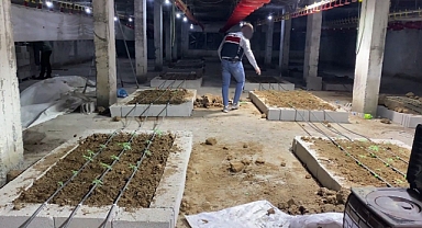 Tavuk çiftliğine uyuşturucu operasyonu: 1 tutuklama