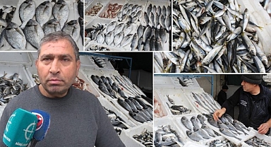 Urfalılar en fazla hamsi tüketiyor