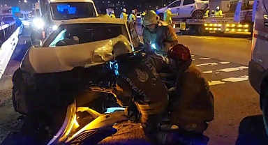 Karşıya geçmeye çalışan köpek, zincirleme kazaya neden oldu: 12 yaralı