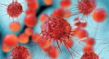 Kromozom bozukluğunu genetik testlerle teşhis etmek mümkün