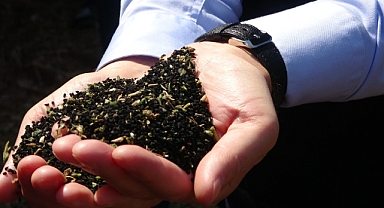 Ölümden başka her şeye deva; Çörekotu