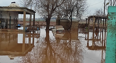 Şanlıurfa'da kırsal mahalleler sel suları altında kaldı