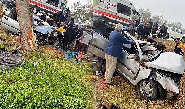 Ceylanpınar'da ağaca çarpan otomobil sürücüsü ağır yaralandı