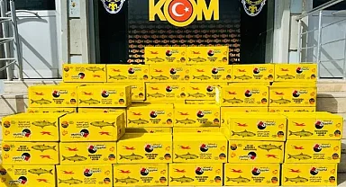 Akçakale'de binlerce kaçak balık konservesi yakalandı