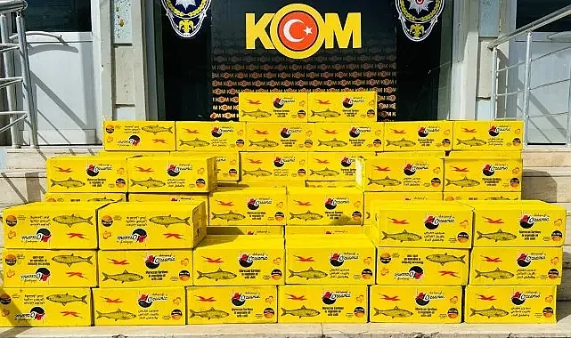 Akçakale'de binlerce kaçak balık konservesi yakalandı