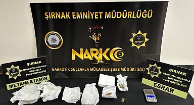 Asayiş ve kaçakçılık operasyonu: 31 gözaltı