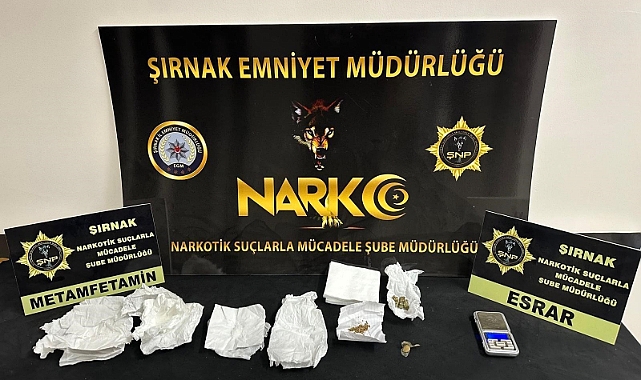 Asayiş ve kaçakçılık operasyonu: 31 gözaltı