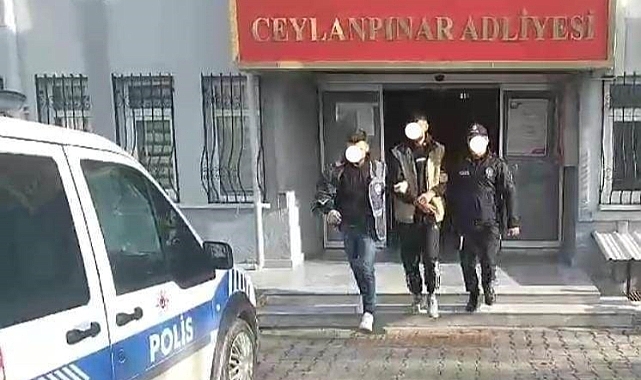 Hırsızlık suçundan araması bulunan şahıs Ceylanpınar'da yakalandı