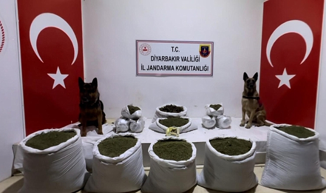 Lice'de 116 kilogram esrar ele geçirildi