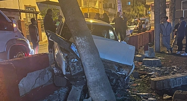 Otomobil parka girdi, ağaçlara çarparak durabildi