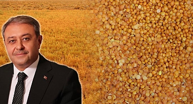 Vali Şıldak'tan kırmızı mercimek açıklaması! İlk sırada yer alıyor