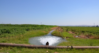 Güneydoğu’da çiftçilerin elektrik borcu 27 milyara ulaştı