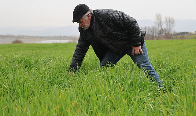İlkbahar yağışları çiftçilerin yüzünü güldürdü