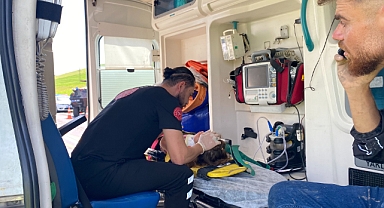 Kınaya giden ailenin hafif ticari aracı dereye uçtu: Çok sayıda yaralı