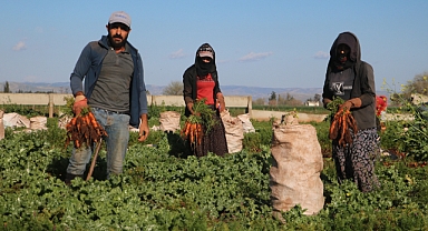 Mevsimlik işçilerini ilgilendiren karar Resmi Gazete'de