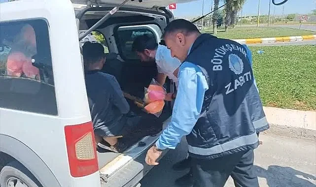Şanlıurfa'da dilencilik denetimi: 6 yakalanma