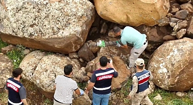 Şanlıurfa merkezli 5 ilde terör operasyonu: 13 gözaltı