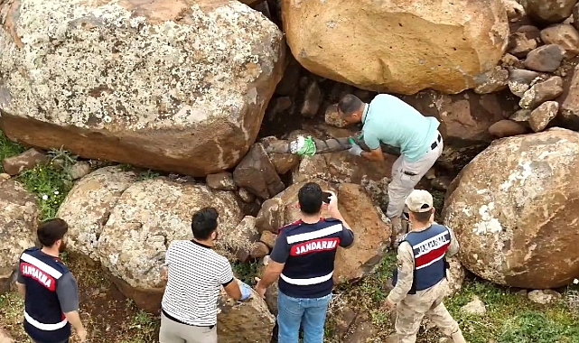 Şanlıurfa merkezli 5 ilde terör operasyonu: 13 gözaltı