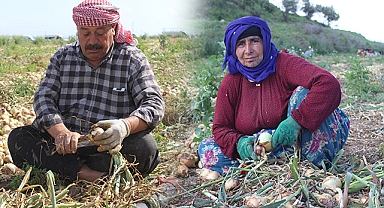 Şanlıurfalı işçilerin sıcak havada zorlu mesaisi !