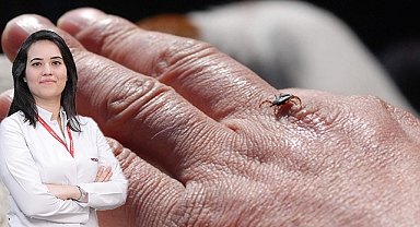 Uzm. Dr. Kocabaş: “Keneler patlatılmamalı”