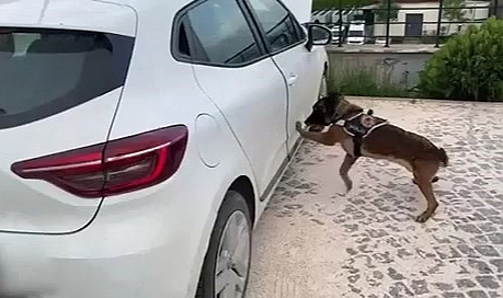 Aracın marşpiyeline zulalanmış uyuşturucu ele geçirildi: 4 tutuklama