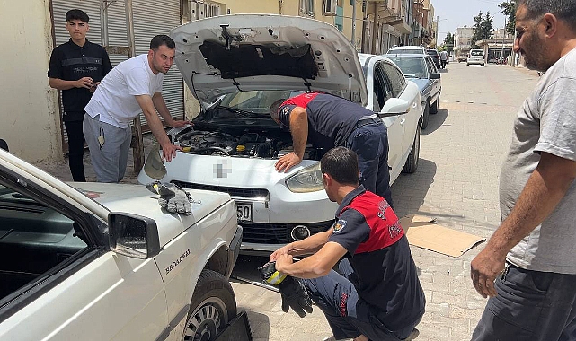 Ceylanpınar'da kedi kurtarma operasyonu
