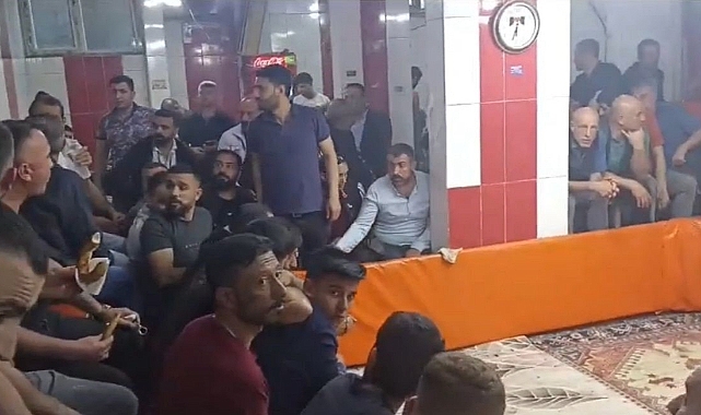 ‘Horoz Dövüşü' operasyonu: 7 gözaltı