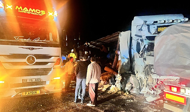 Malatya’da yem yüklü tır devrildi