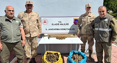 Salep bitkisi toplayan 4 kişiye idari para cezası uygulandı