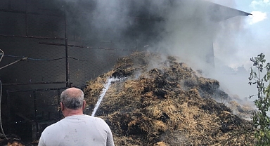 Samanlık yangınında 15 büyükbaş hayvan telef oldu